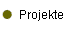 Projekte
