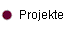 Projekte